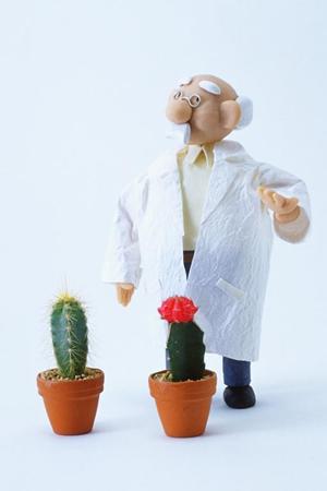 2025年最新版｜徳島で評判の良い自動車教習所トップガイド